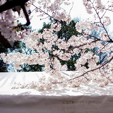 Tora Hotel Tokyo-Kitaueno 寅ホテル北上野 Экстерьер фото